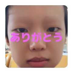 pja_20260607233927