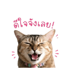 sour_20260501151009