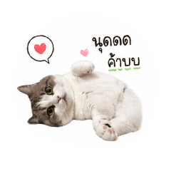 Sweet.TP_20260501151143