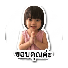 supukshop_20260501151301