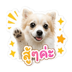 wasana_20260501151042