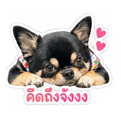 Tummod_20260501151308