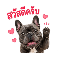 My Frenchiess