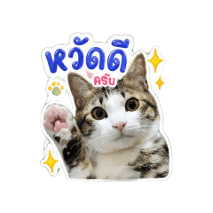 Ong-ard_20260501151702