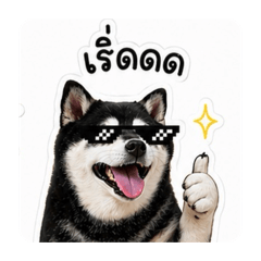 Minoh Good Boy v.2