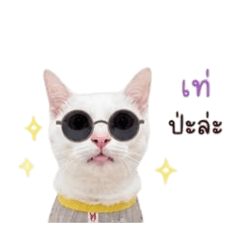 Boss_20260501152407