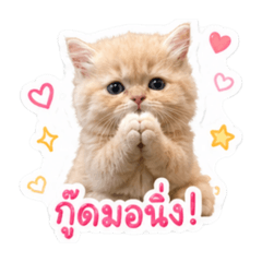 LeonMilkMilk