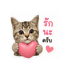 prapaporn_20260501152415