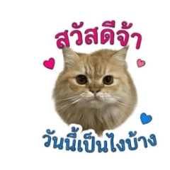 Tanny_20260501153106
