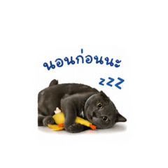 Naming_20260501153113