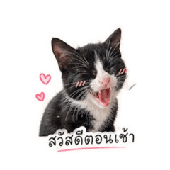 ning_20260501153131
