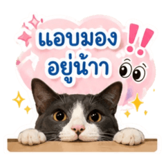 PiakPoonnnnnn