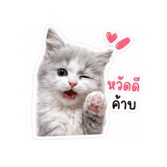 prapaporn_20260501153147