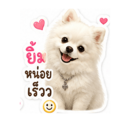 Kukar_20260501152958