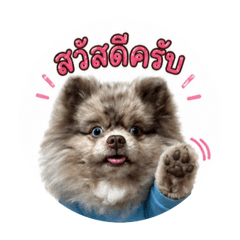 Theerapat_20260501153601