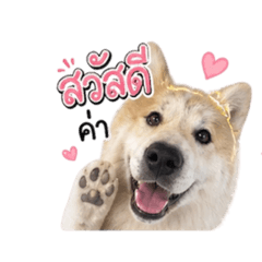 aunpungnuay_20260501160219