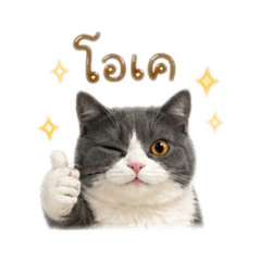 Jeetwr_20260501155959