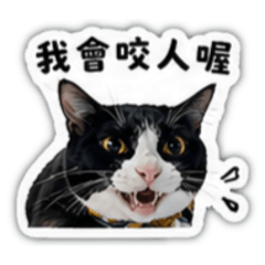 What did thousandbei says?