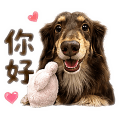 巧奶臘腸-百威 （狗勾也太有戲！）