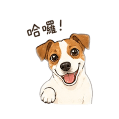 動動日常生活