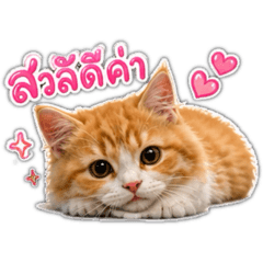 Anuwat_20260501154659