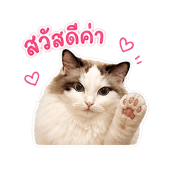 lululuun