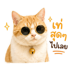 Somrak orange & white cat v.1