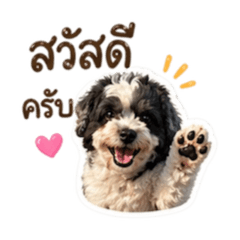 Happy Coco01
