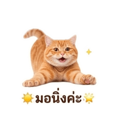 Warunee khamphrathip_20260501154737