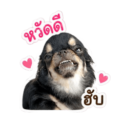Jin_20260501154802