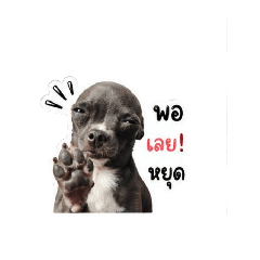 Spyyy_20260501155107