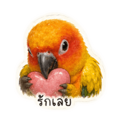 Ranya_20260501155136