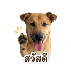 Kam_20260501155114