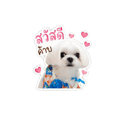 Koy Story_20260501155027