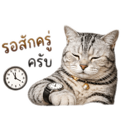 Nns_20260501155214
