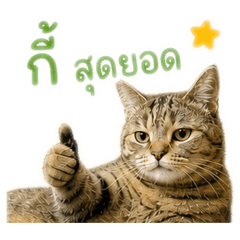 LuckyGO_20260501155444
