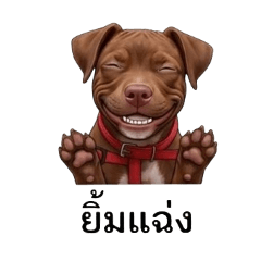brownienoii