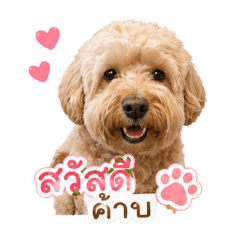 Dog..Bob