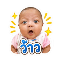 Panin TMCHN
