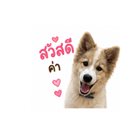 JANJAO Create_20260501160200