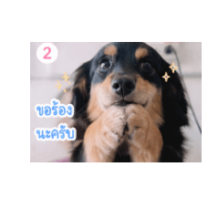 rawiwan_20260501160612