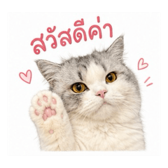 Meow Jun