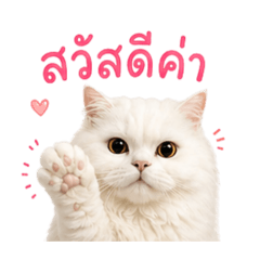 Udon meaw meaw