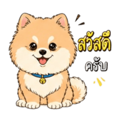 Pomeranian so cute