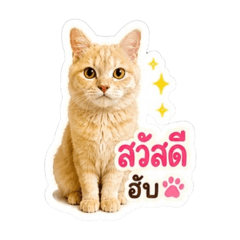 Mochi O-Family