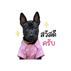 SRINIL .