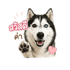 Baimon_20260501161058