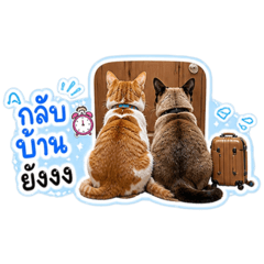 EP:1 twocat