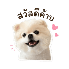 Cancandy meemhe_20260501161959
