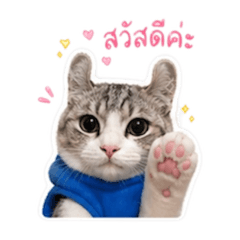 Murfs_20260501161832